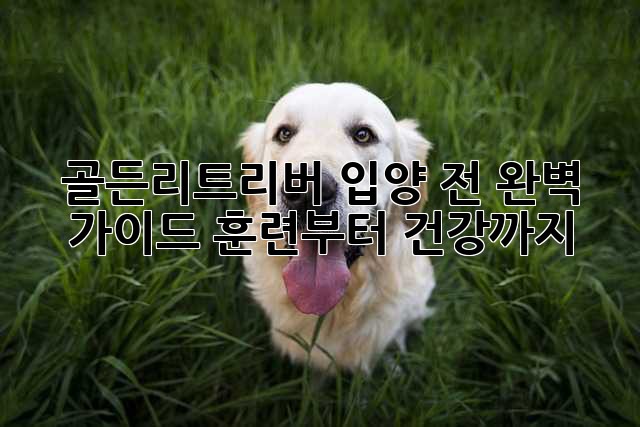 90915d381b138342bd3e6db83830bf4f.jpg