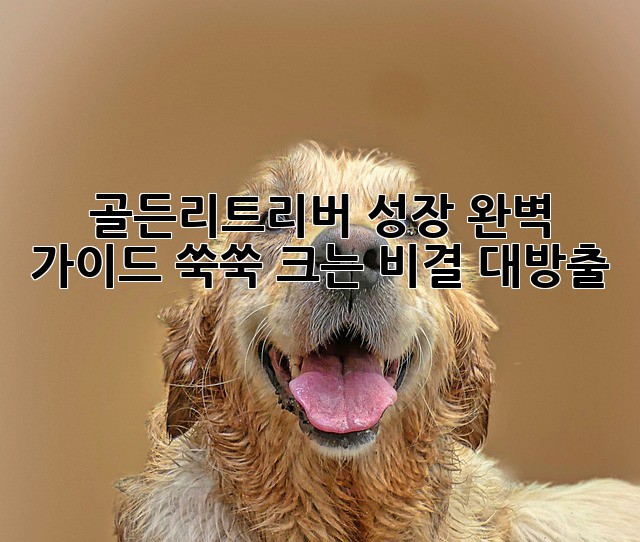 d0ec1a7fa883026371d1d7358a3a205a.jpg