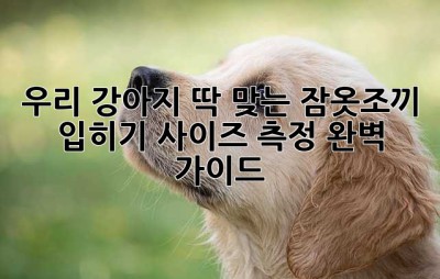 우리 강아지, 딱 맞는 잠옷조끼 입히기! 사이즈 측정 완벽 가이드🐶