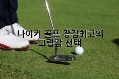 나이키 골프 장갑🥇최고의 그립감 선택!