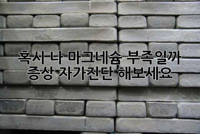 혹시 나, 마그네슘 부족일까? 증상 자가진단 해보세요!