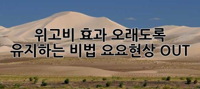 위고비 효과, 오래도록 유지하는 비법! 요요현상 OUT!