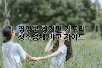 영양군 청기면 기포리 청소업체 비교 가이드
