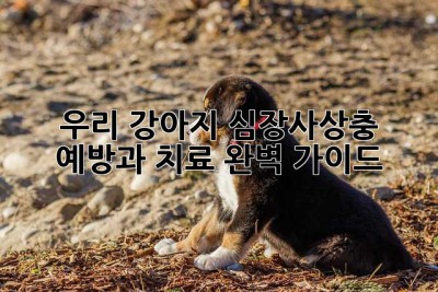 우리 강아지, 심장사상충 예방과 치료 완벽 가이드
