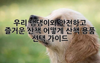 우리 댕댕이와 안전하고 즐거운 산책, 어떻게?🐶 산책 용품 선택 가이드!