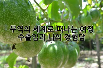 무역의 세계로 떠나는 여정: 수출입과 나의 경험담