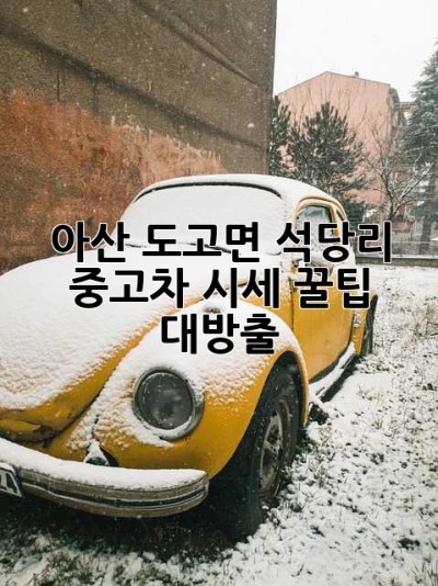아산 도고면 석당리 중고차 시세, 꿀팁 대방출! 🚗💨