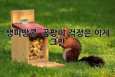 생피땅콩?  곰팡이 걱정은 이제 그만!