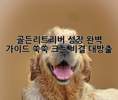 🐾 골든리트리버 성장 완벽 가이드: 쑥쑥 크는 비결 대방출! 🐶